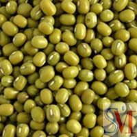Sell sell Green mung beans