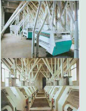 Sell Maize or Corn flour milling machine line