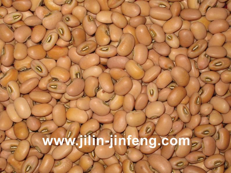 Sell cowpea