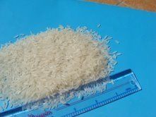 Sell Vietnam Long Grain White Rice 15%