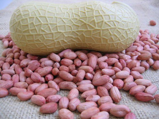 Sell groundnut kernels,New crop blanched groundnut kernels,Long Type groundnut kernel