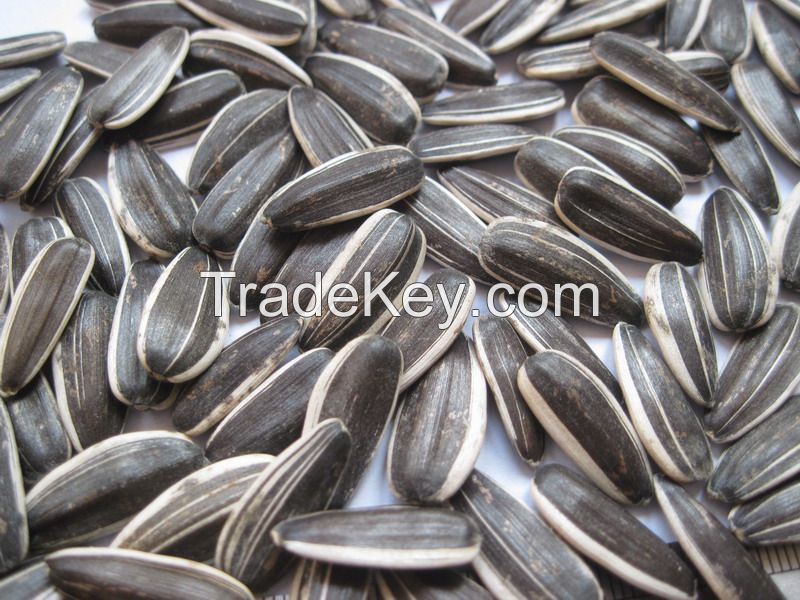 Sell 2014 crop confectionary sunflower seeds for sale