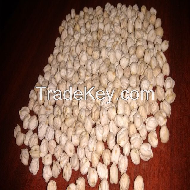 Sell Best Quality Healthy Kabuli ChickPeas 12 MM 42/44 Count/Kabuli