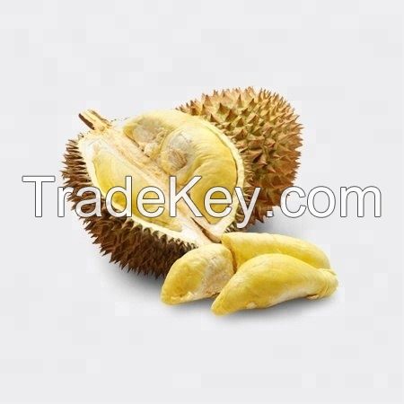 Sell  Freeze dried fruit of 100% natural Dried durian 
