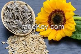 Sell Supply sunflower seeds Raw wholesale sunflower seeds available