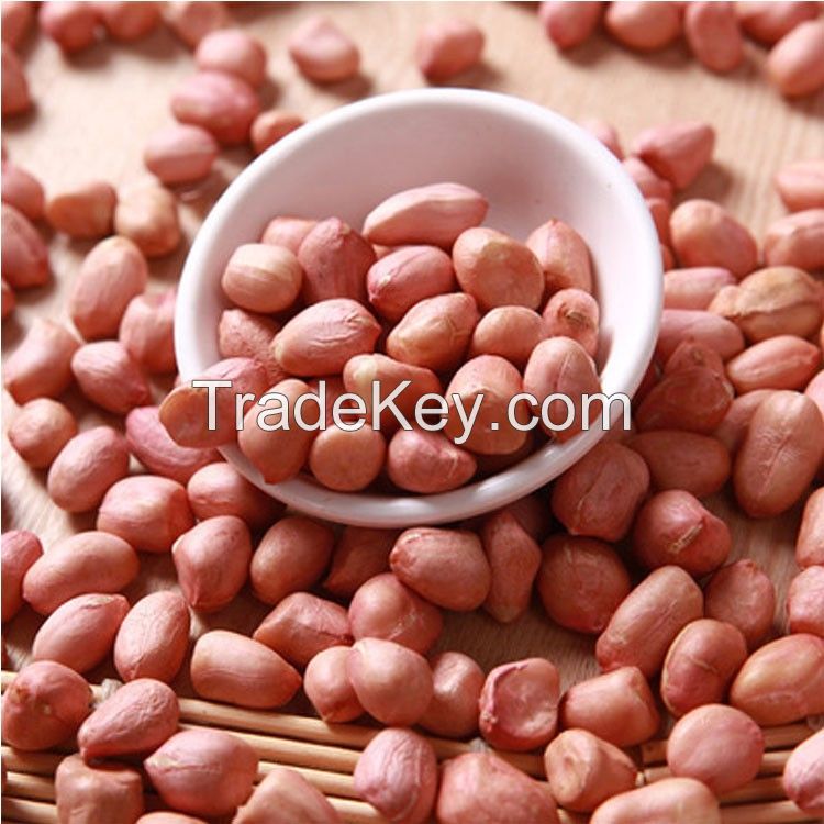 Sell Good quality peanuts 100% Natural peanut