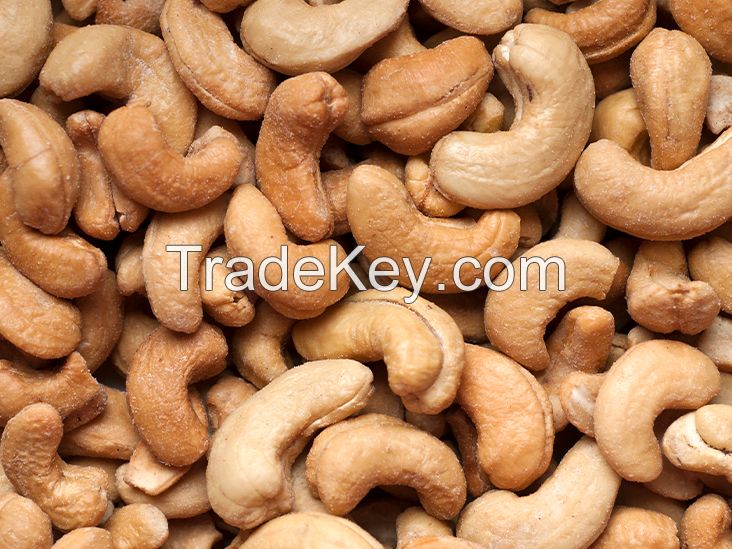 Exquisite Cashew Nuts W320 Cashew Nuts From Vietnam