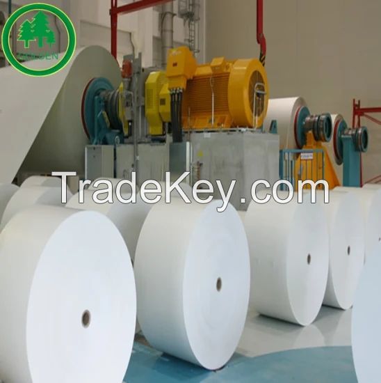 High Quality Lwc Paper/Light Weight Coated Paper