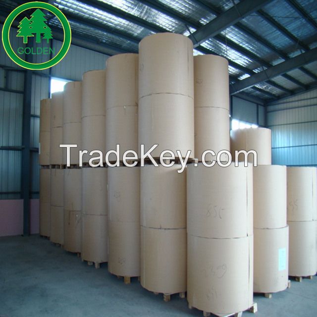 Food Grade Paper Board with Single or Double PE Coated Cup Stock Board