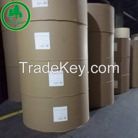 Food Grade Paper Board with Single or Double PE Coated Cup Stock Board