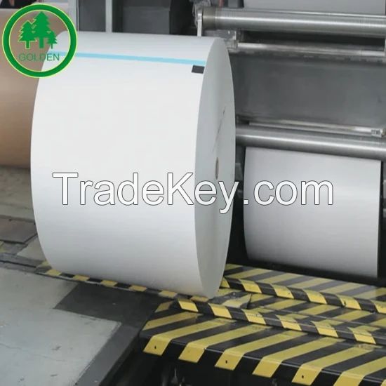 55g 80g 200GSM 300GSM Woodfree Offset Printing Paper for Textbooks or Notebooks