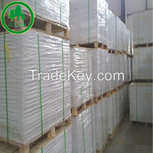 Food Grade Paper Board with Single or Double PE Coated Cup Stock Board