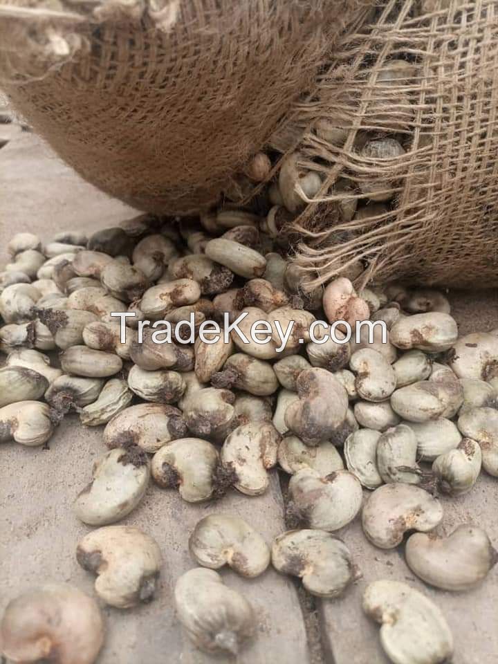 Raw Cashew
