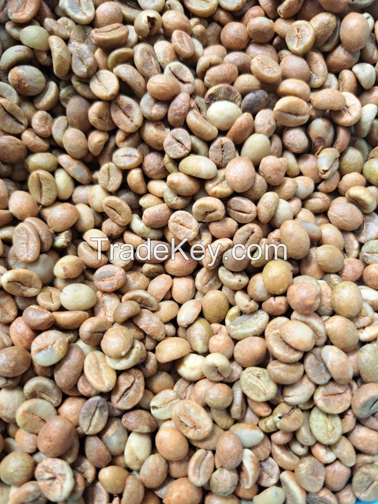 Arabica Green Bean Coffee - Aceh Gayo - Grade 1