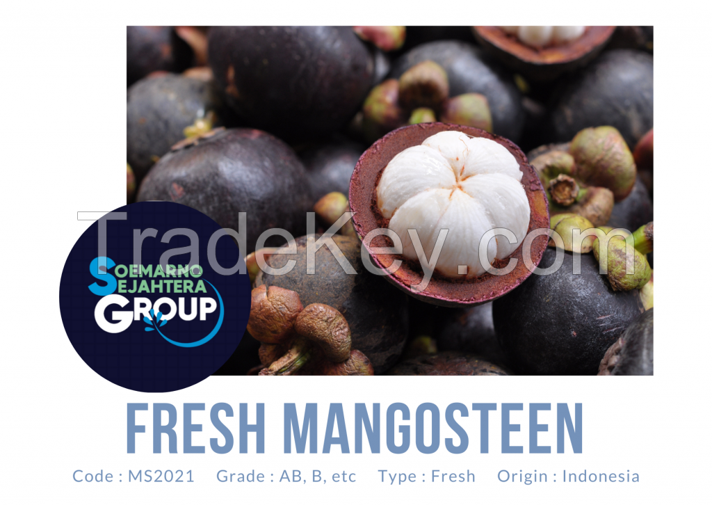 Fresh Mangosteen