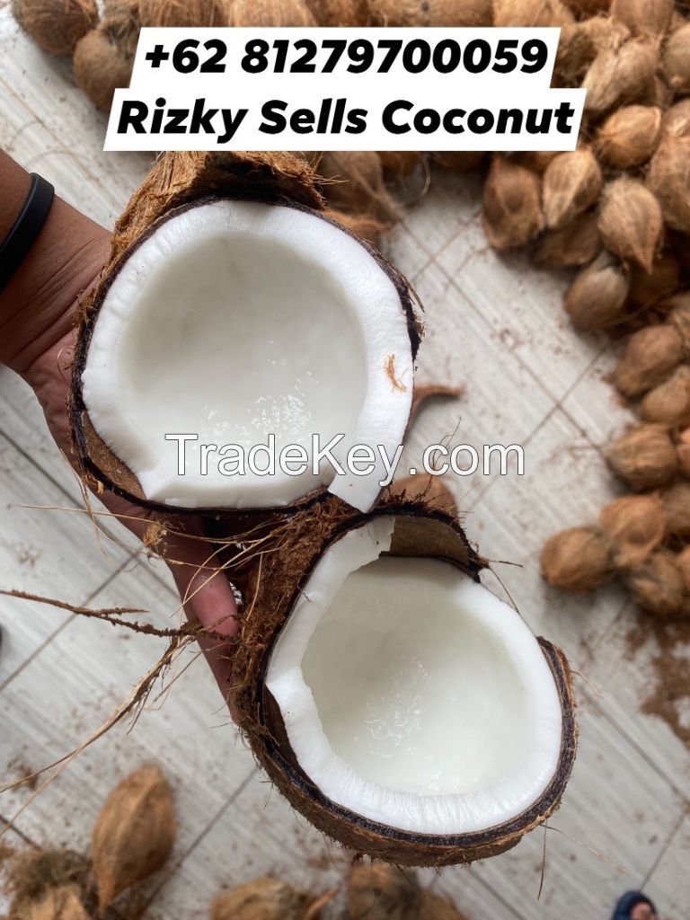 Semi Husked Coconut Indonesia