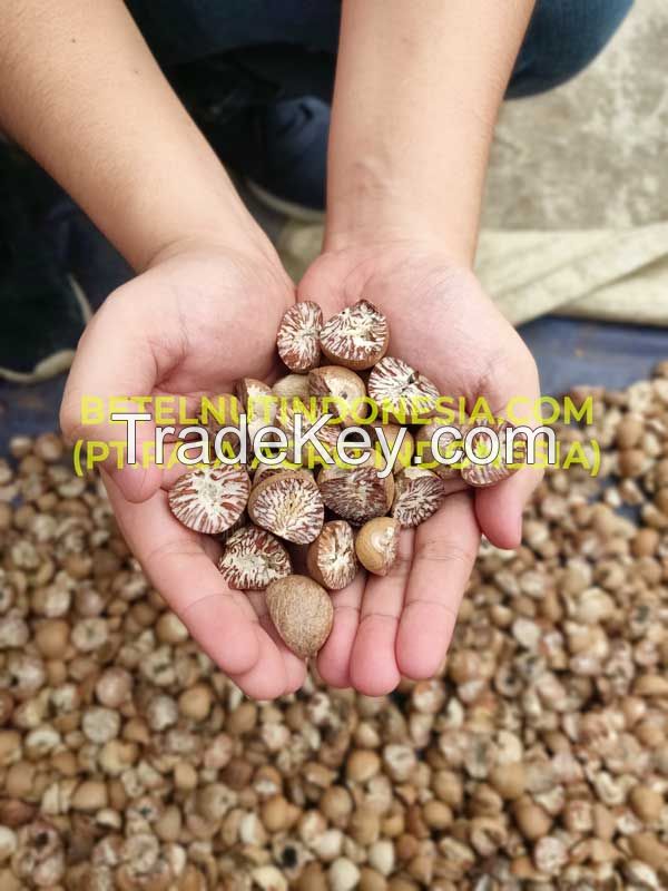 Indonesia Betel Nut Jambi Quality Medan Quality 90-95 80-85 70-75 60-65 klotok