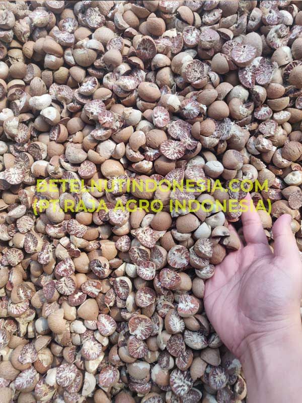 Indonesia Betel Nut Jambi Quality Medan Quality 90-95 80-85 70-75 60-65 Klotok