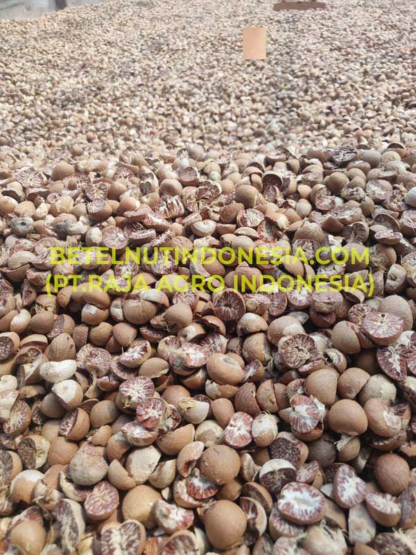 Indonesia Betel Nut Jambi Quality Medan Quality 90-95 80-85 70-75 60-65 Klotok