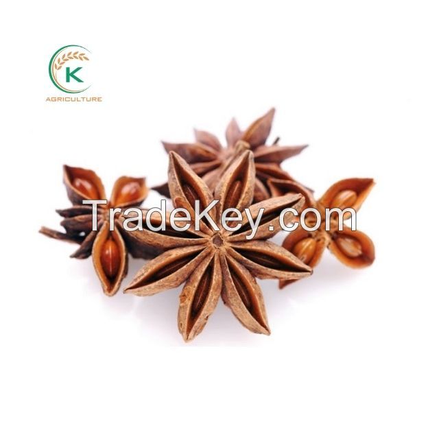 Vietnam Specialty Hot Spices - Sweet Spicy Star Anise 2021/ Star Anise Herbs And Spices Vietnam Manufacturer