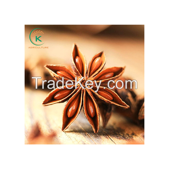 Vietnam Specialty Hot Spices - Sweet Spicy Star Anise 2021/ Star Anise Herbs And Spices Vietnam Manufacturer