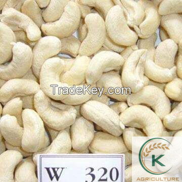 Organic Cashew Kernels W320 - Competitive Price Cashew Nuts From Vietnam Best Manufacturer