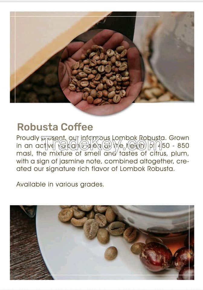 Arabica Coffee and Robusta Specialty Green Beans