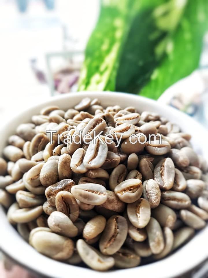 Arabica Coffee and Robusta Specialty Green Beans