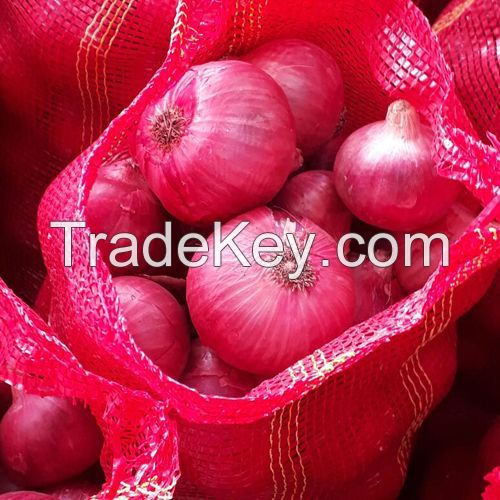 Fresh Red Onion 