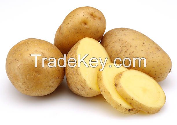 fres potatoes