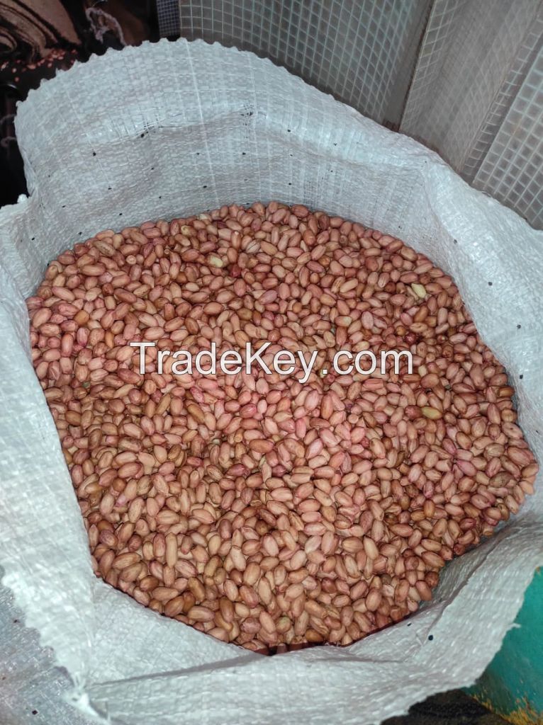 Bold Type Peanuts 38/42, 40/50, 50/60, 60/70 Counts/Ounce