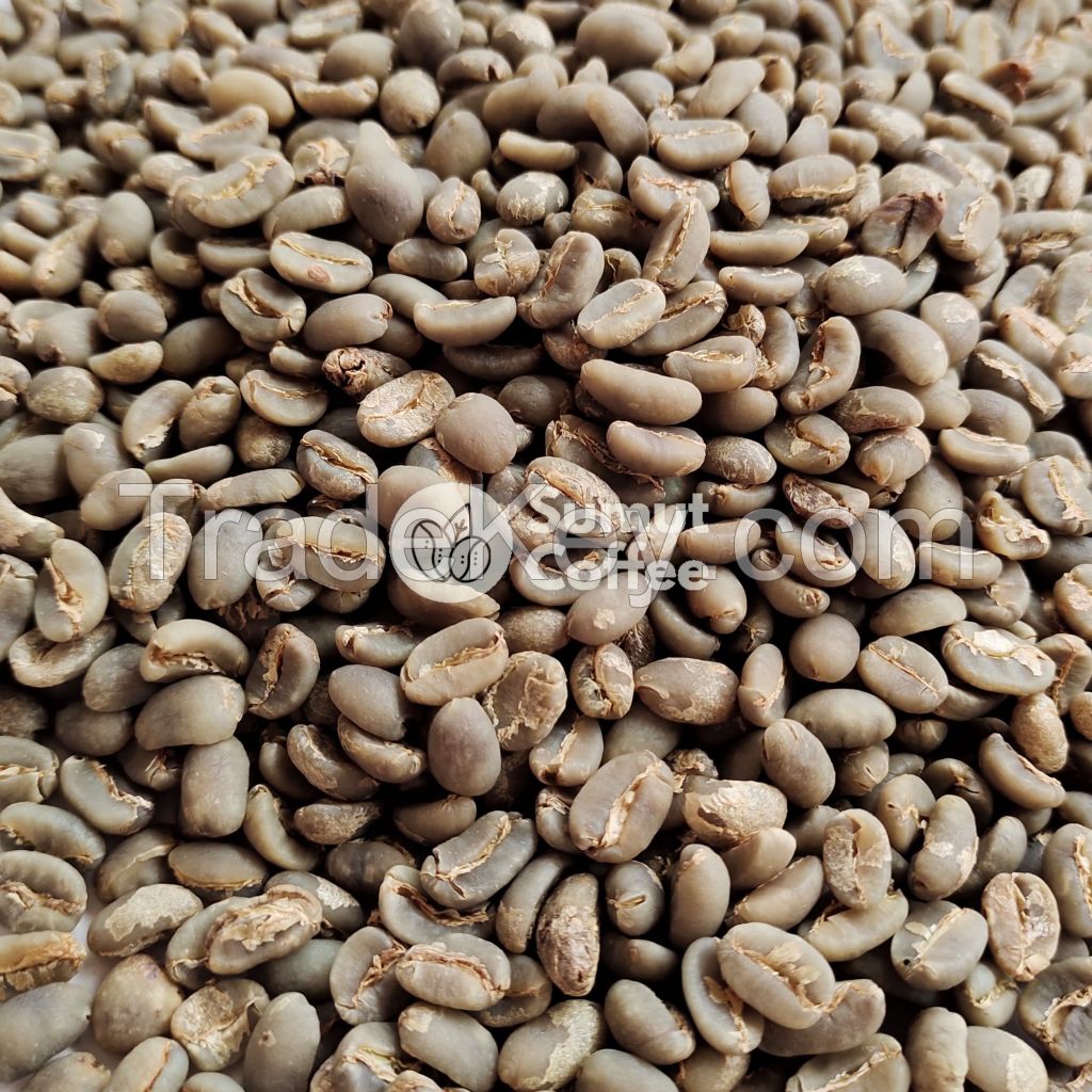 Arabica Gayo Green Coffee Bean