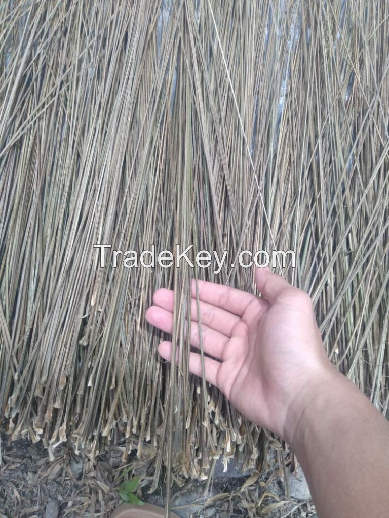 Palm Broom Sticks