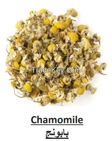 Chamomille