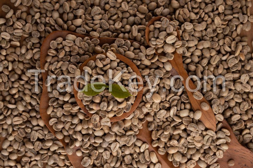 Robusta