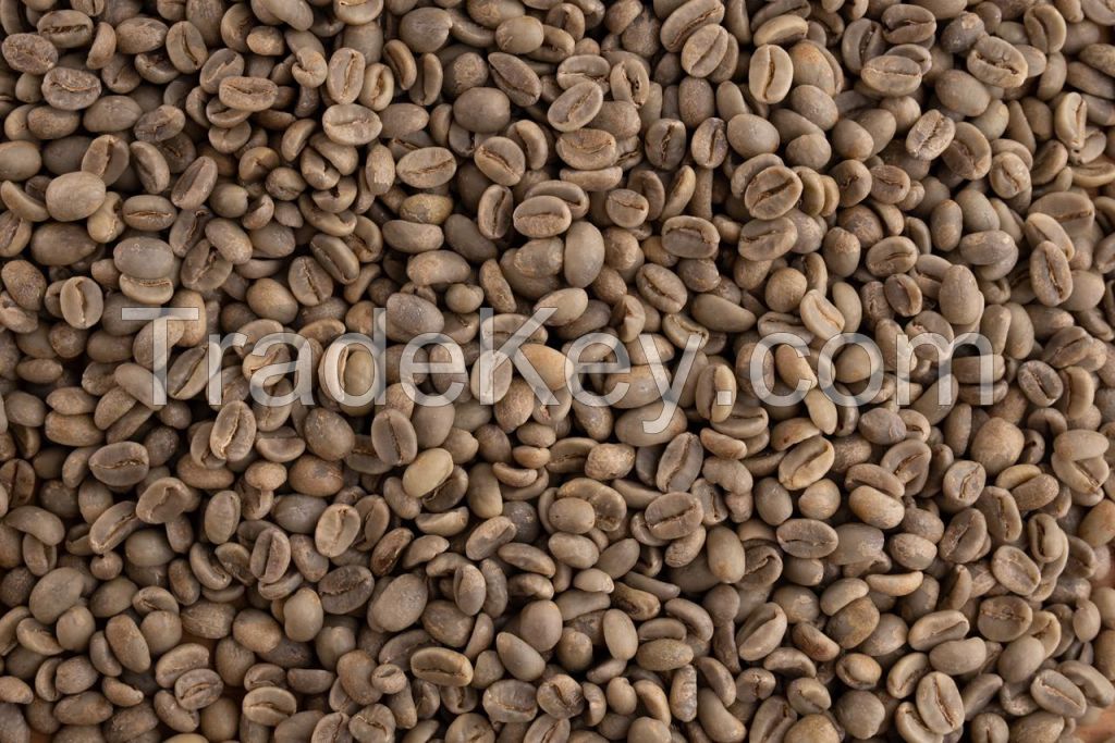 Robusta