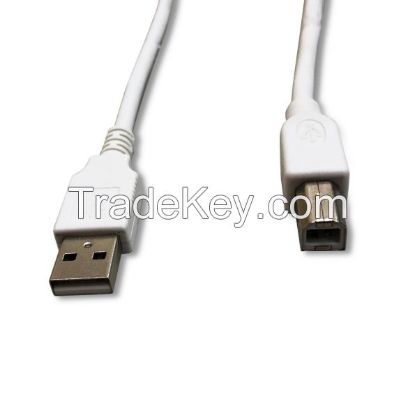 Type A to Type B Cable