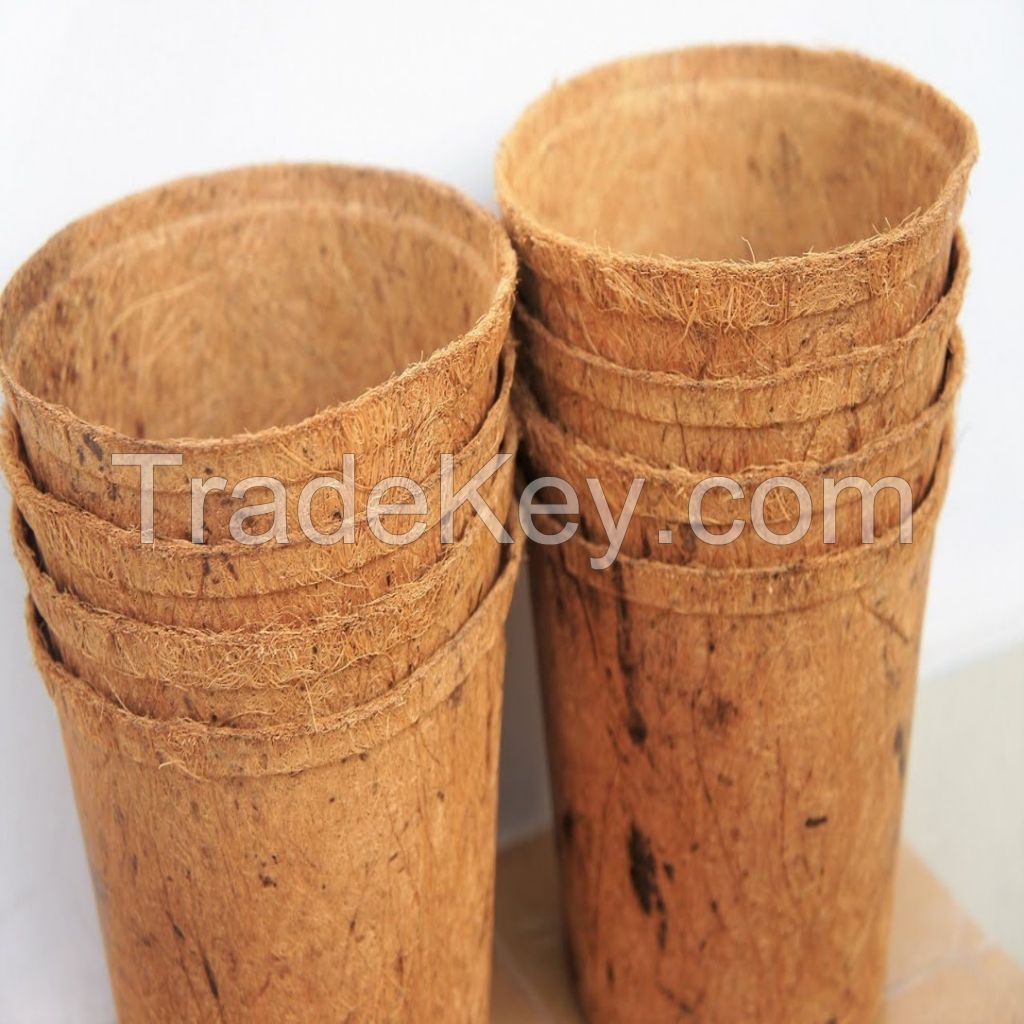 Eco-friendly Coconut Coir Pots Best Price And High Quality From 99 Gold Data