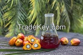 Crude Palm Oil (CPO) from Indonesia