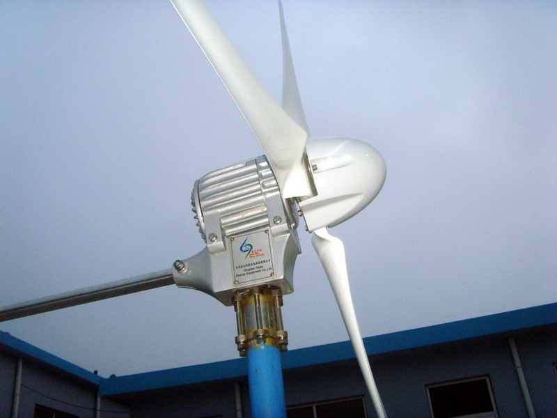 wind power 1000W