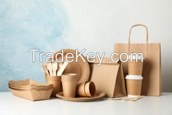 Kraft Paper Bag with Twisted Paper Handle