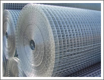 Welded Wire Mesh