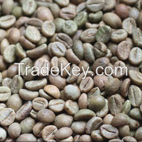 Robusta Coffee Beans and Arabica Coffee Beans