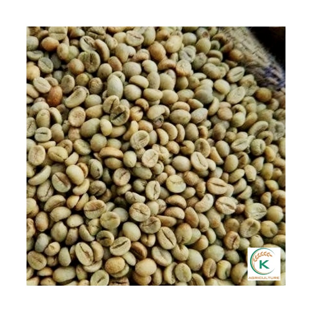 Vietnam Arabica Commercial Green Coffee Beans