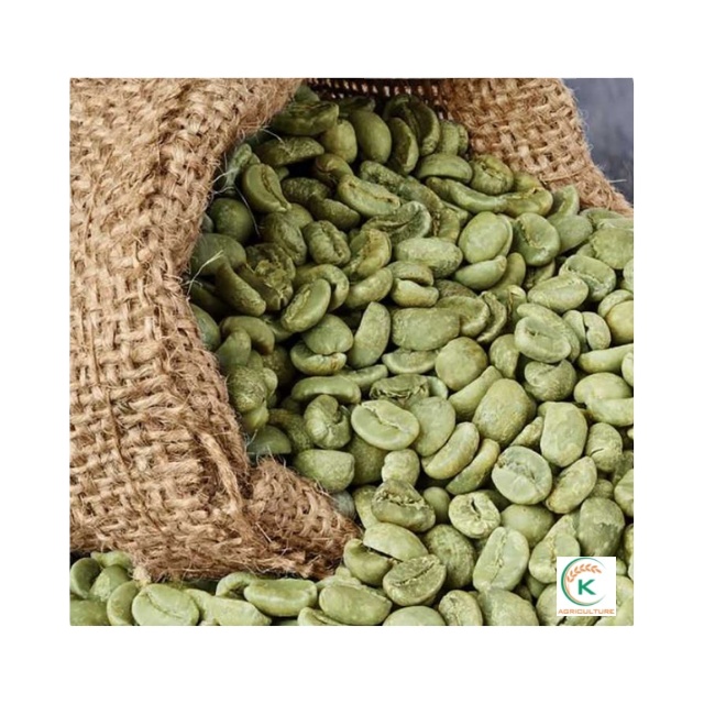 Arabica Dalat Cau Dat Coffee Green Beans S16