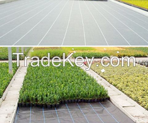 Agricultural Greenhouse Black Weed Control Fabric Mat Plastic PP Anti Weed Agro Weed Control Barrier PP Woven Weed Mat