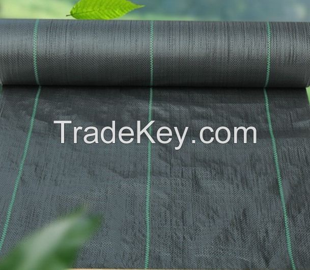Agricultural Greenhouse Black Weed Control Fabric Mat Plastic PP Anti Weed Agro Weed Control Barrier PP Woven Weed Mat