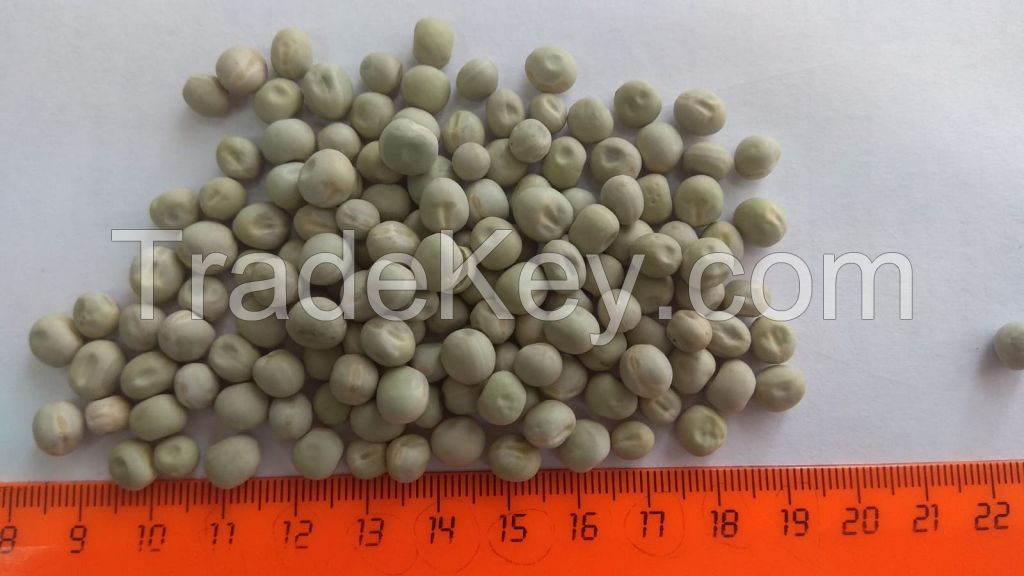 Field Dried Green Peas