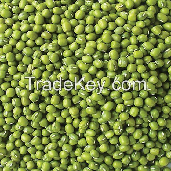 High Quality New Crop Bulk Green Mung Beans