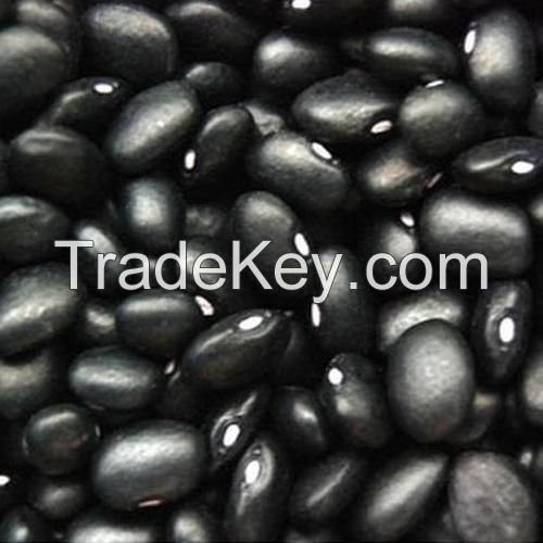 Kidney Beans/ Buy Cheap Black Kidney Beans